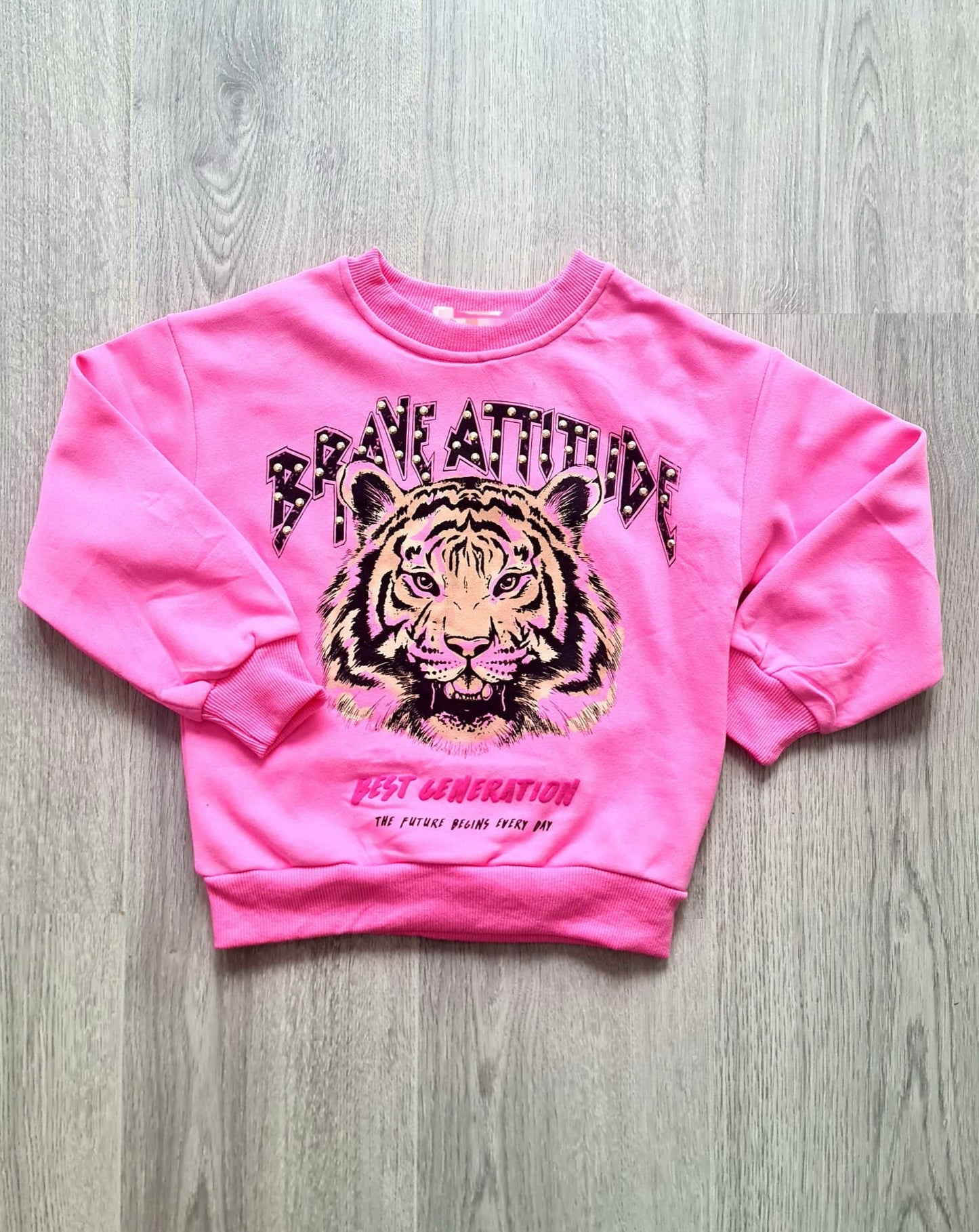 Lioness sweater Pink